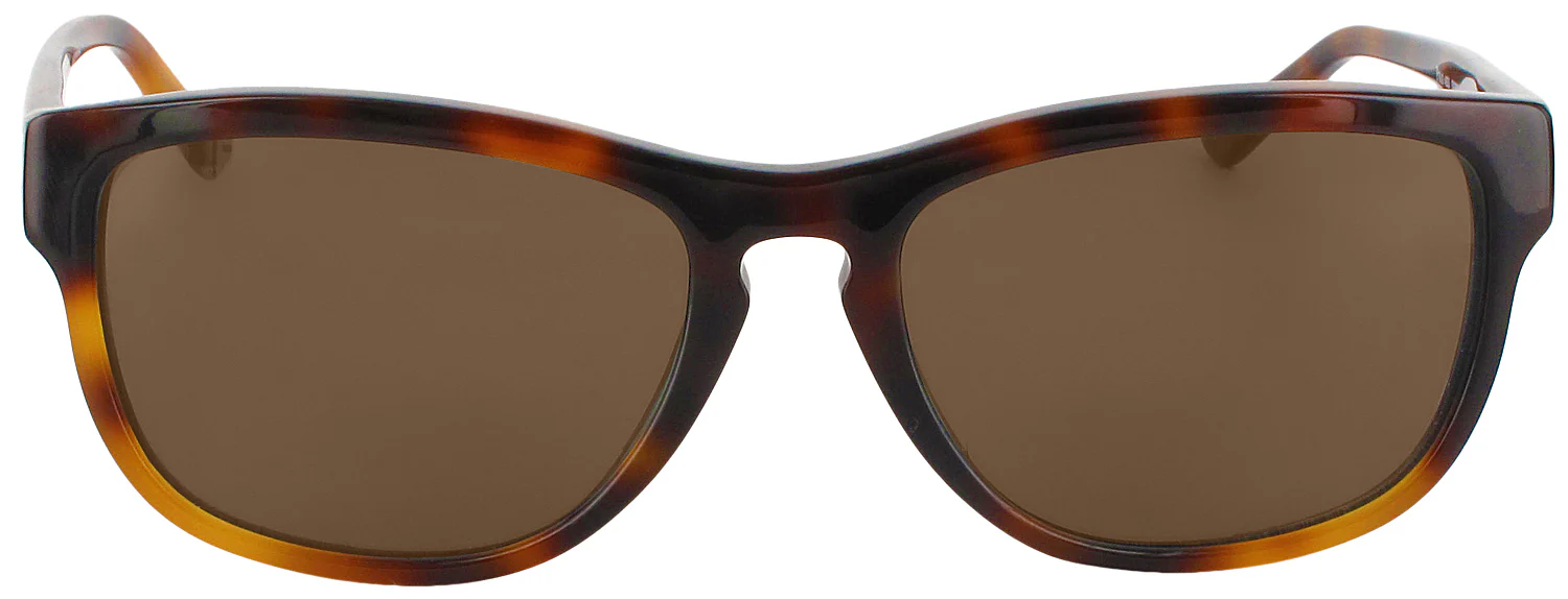 Polo Ralph Lauren 4053 Progressive No Line Reading Sunglasses - Image 2