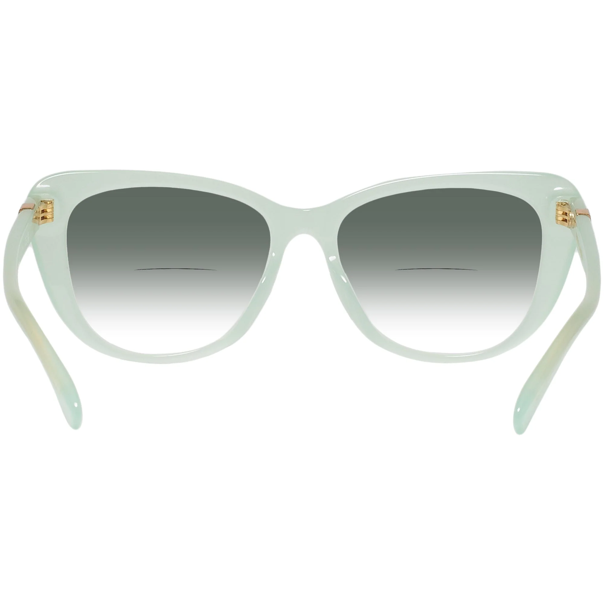 Ralph Lauren 6232U w/ Gradient Bifocal Reading Sunglasses - Image 12