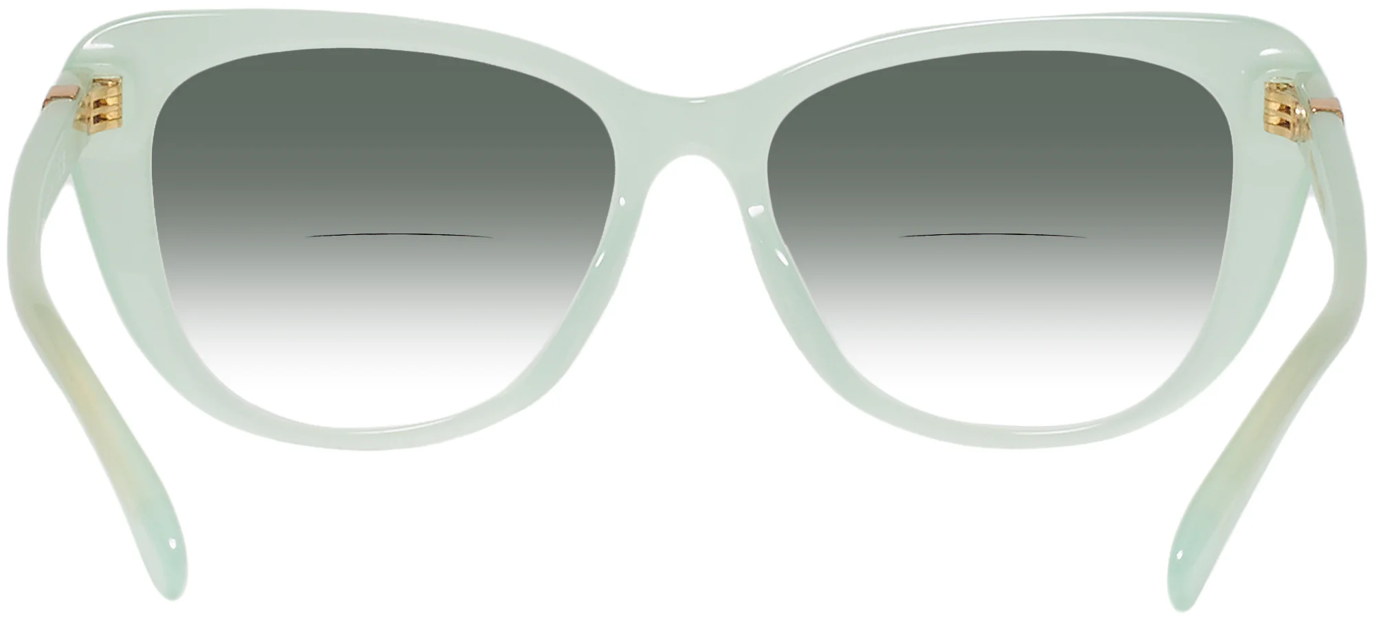 Ralph Lauren 6232U w/ Gradient Bifocal Reading Sunglasses - Image 27
