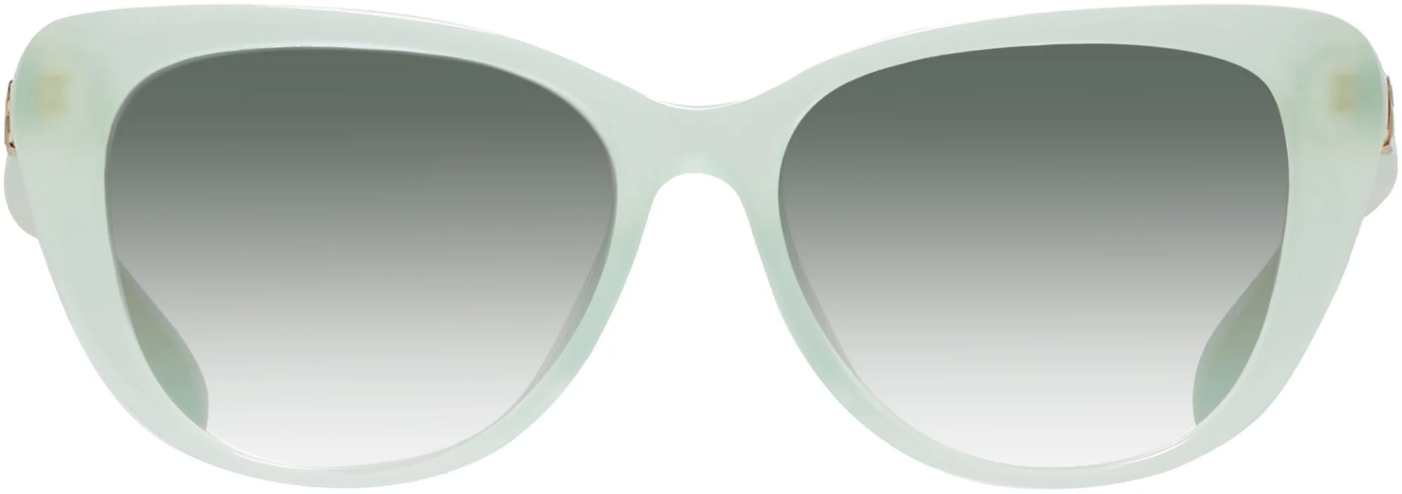 Ralph Lauren 6232U w/ Gradient Progressive Reading Sunglasses - Image 25