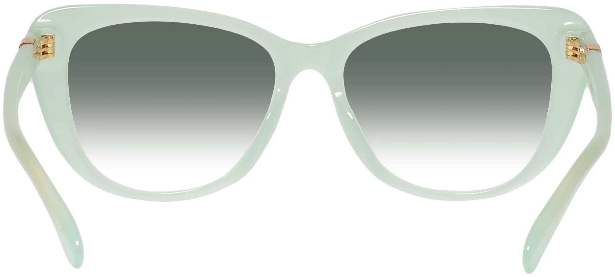 Ralph Lauren 6232U w/ Gradient Progressive Reading Sunglasses - Image 27