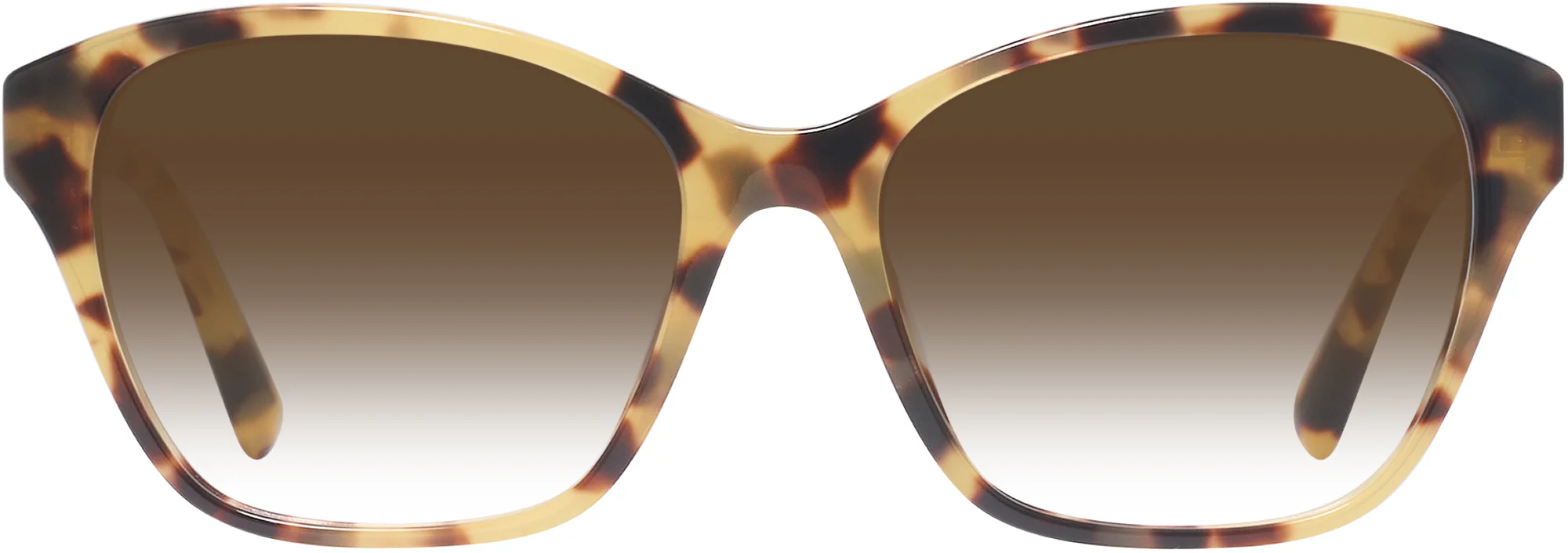 Ralph Lauren 6236U w/ Gradient Progressive Reading Sunglasses - Image 12