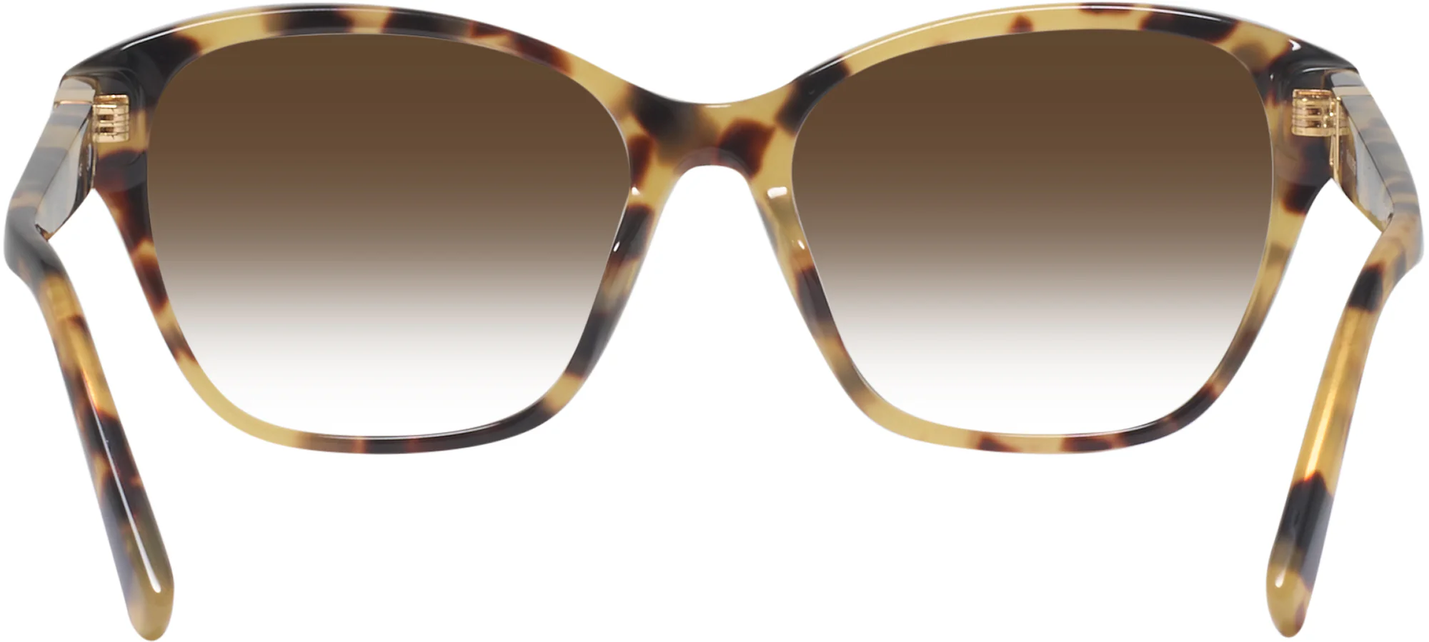 Ralph Lauren 6236U w/ Gradient Progressive Reading Sunglasses - Image 14