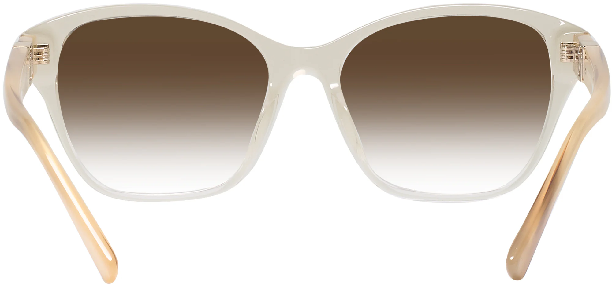 Ralph Lauren 6236U w/ Gradient Progressive Reading Sunglasses - Image 18