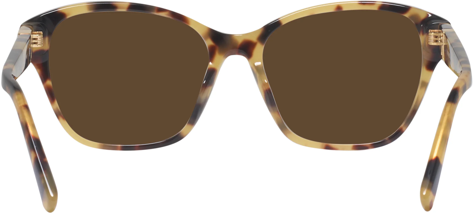 Ralph Lauren 6236U Progressive Reading Sunglasses - Image 14
