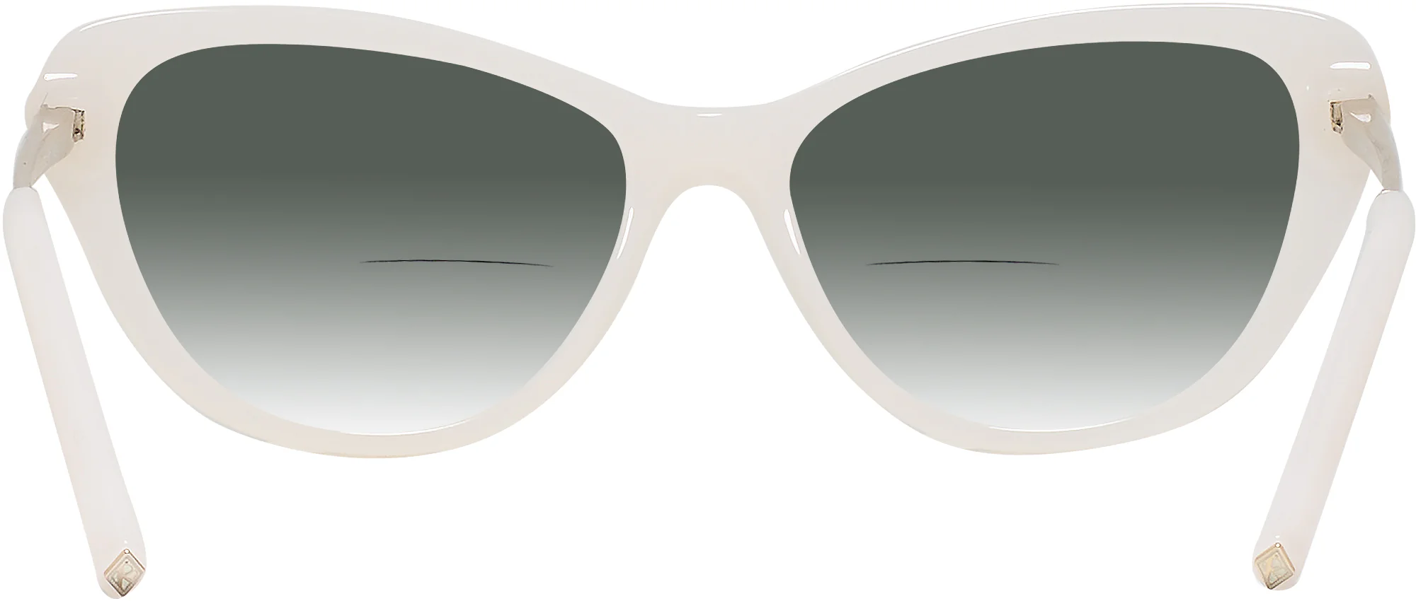 Ralph Lauren 6245 w/ Gradient Bifocal Reading Sunglasses - Image 19