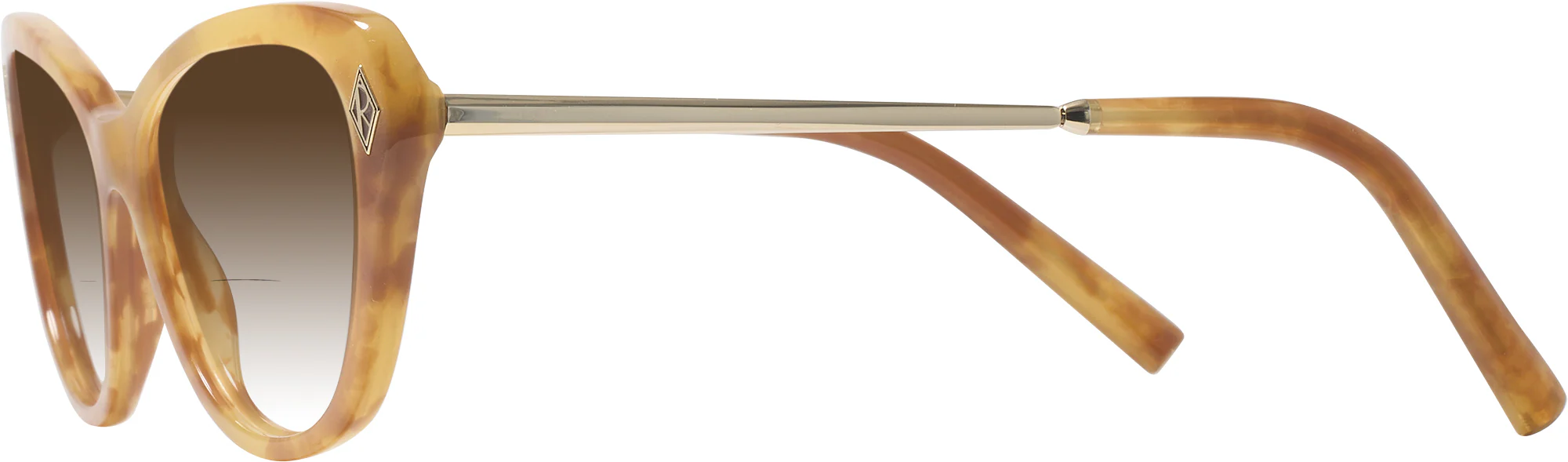 Ralph Lauren 6245 w/ Gradient Bifocal Reading Sunglasses - Image 26