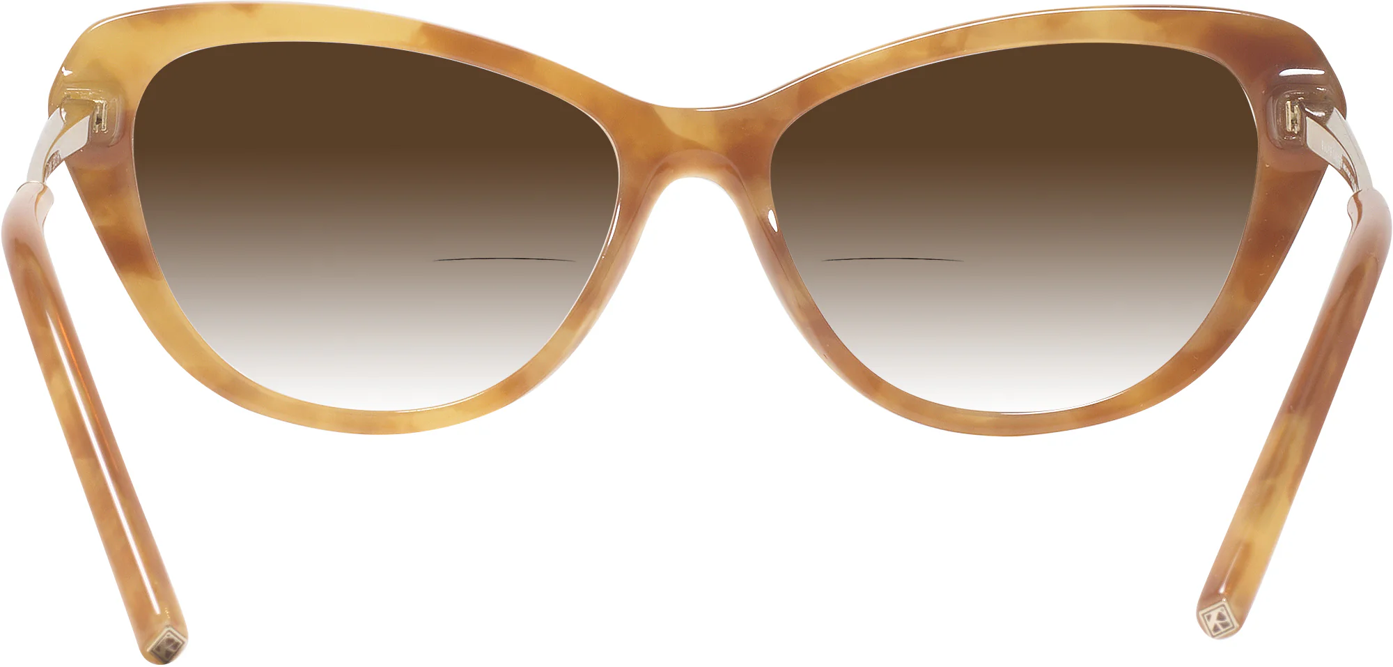 Ralph Lauren 6245 w/ Gradient Bifocal Reading Sunglasses - Image 27