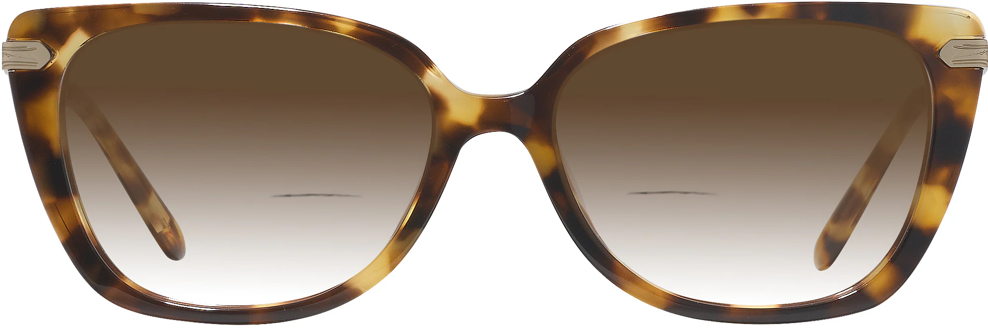 Ralph Lauren 6250U w/ Gradient Bifocal Reading Sunglasses - Image 5