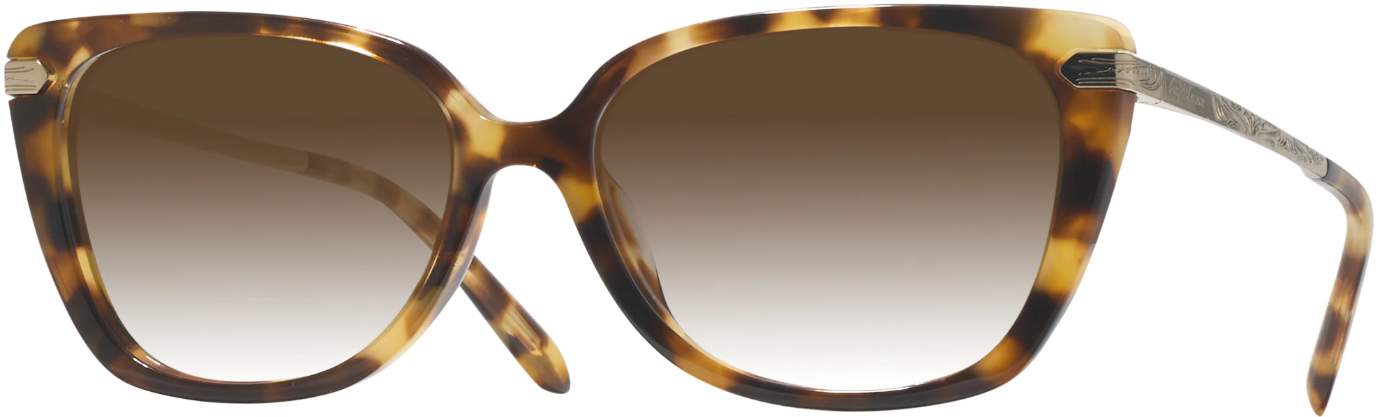 Ralph Lauren 6250U w/ Gradient Progressive Reading Sunglasses - Image 4
