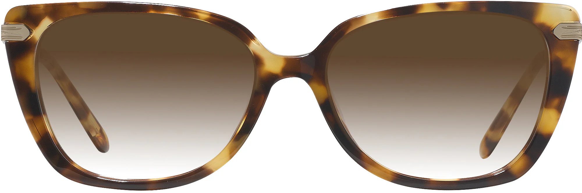Ralph Lauren 6250U w/ Gradient Progressive Reading Sunglasses - Image 5