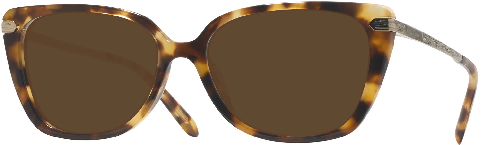 Ralph Lauren 6250U Progressive Reading Sunglasses - Image 4