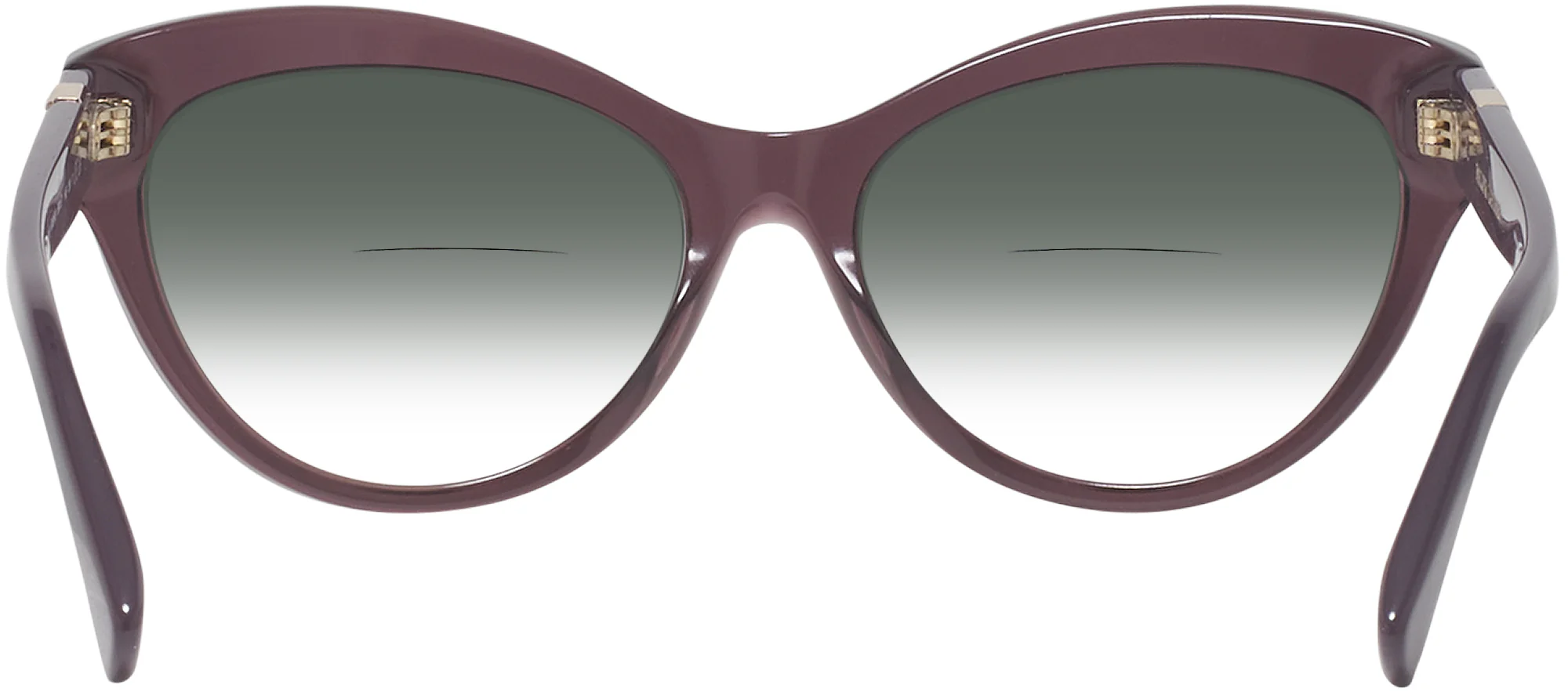 Ralph Lauren 8213 w/ Gradient Bifocal Reading Sunglasses - Image 27
