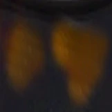 Ralph Lauren 8213 w/ Gradient Bifocal Reading Sunglasses - Image 46