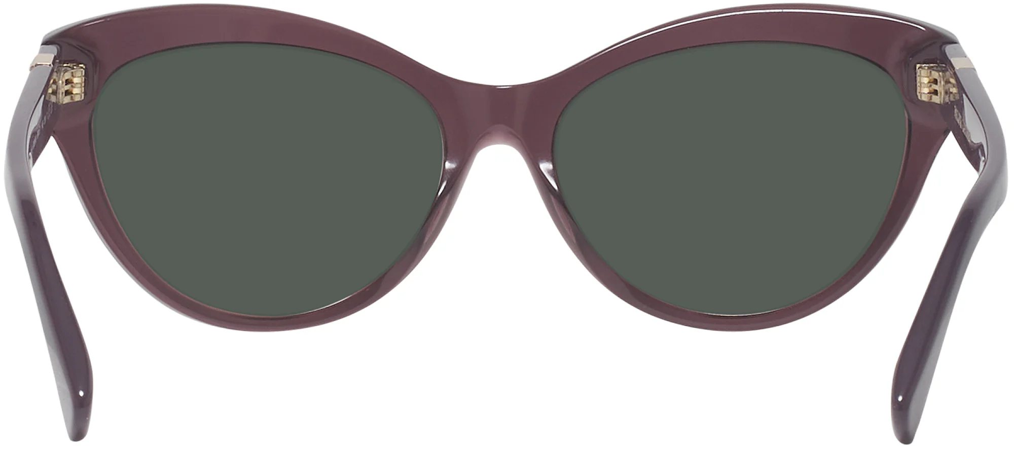 Ralph Lauren 8213 Progressive Reading Sunglasses - Image 27