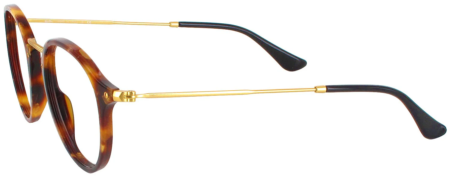 Ray-Ban 2447VL Round Fleck Computer Style Progressive - Image 7