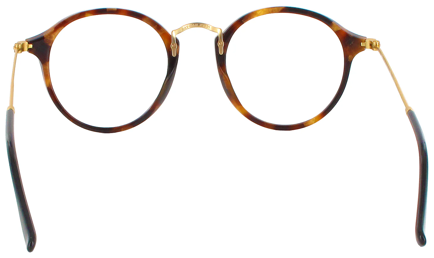 Ray-Ban 2447VL Round Fleck Progressive No-Lines - Image 8