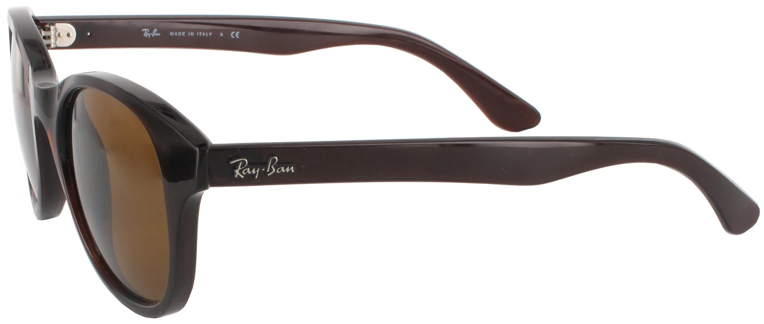 Ray-Ban 4203 Sunglasses - Image 3