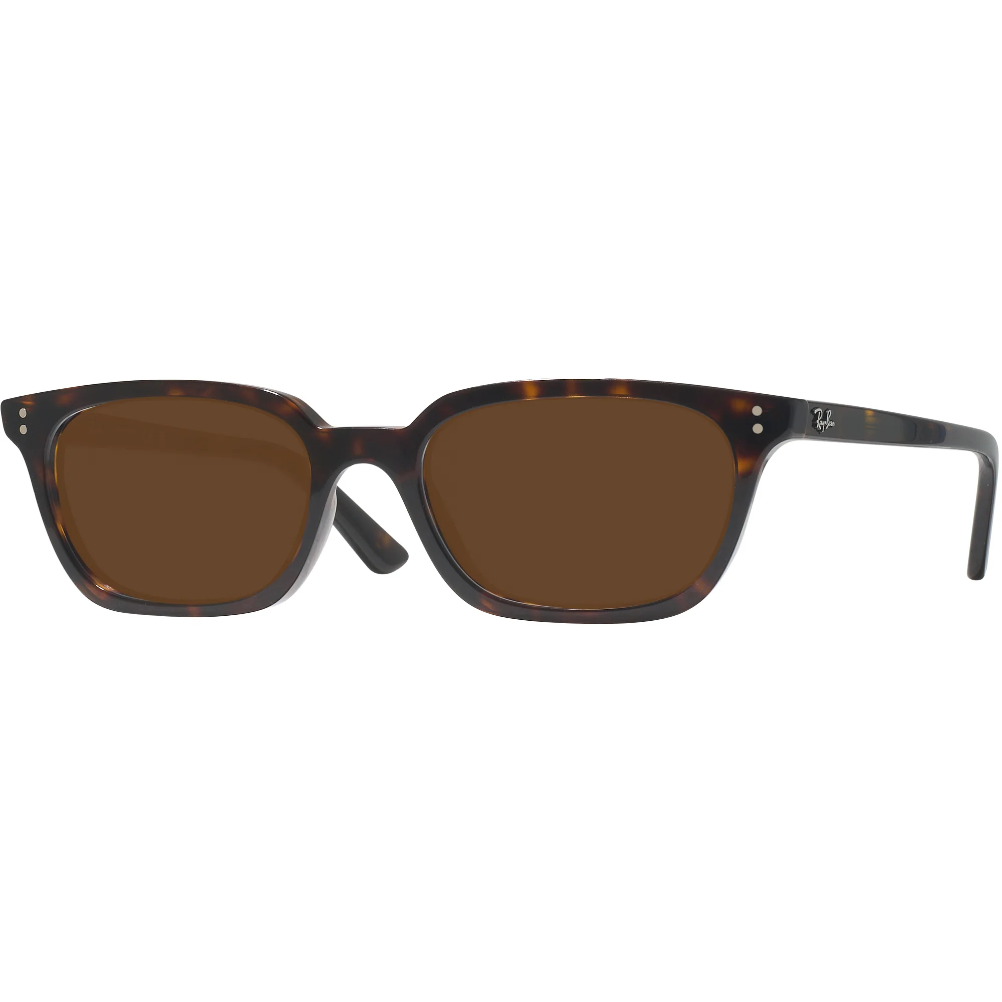 Ray-Ban 4456 Progressive Reading Sunglasses
