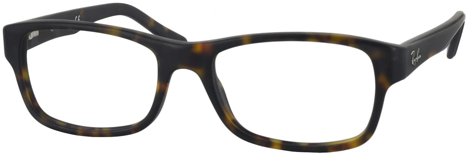 Ray-Ban 5268 Progressive No Line Bifocal - Image 5