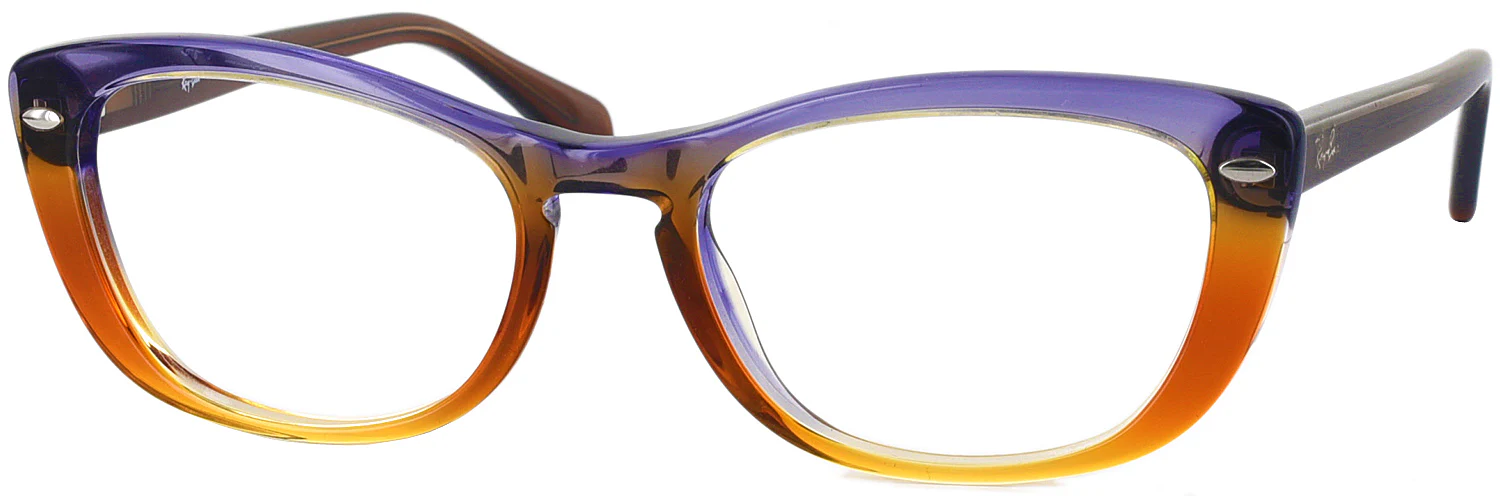 Ray-Ban 5366 Single Vision Full Frame - Image 20