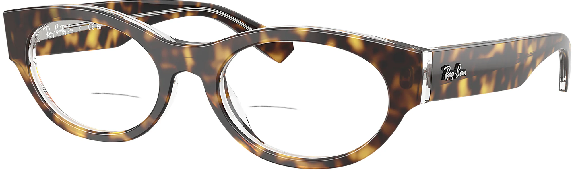 Ray-Ban 5447 Bifocal - Image 4
