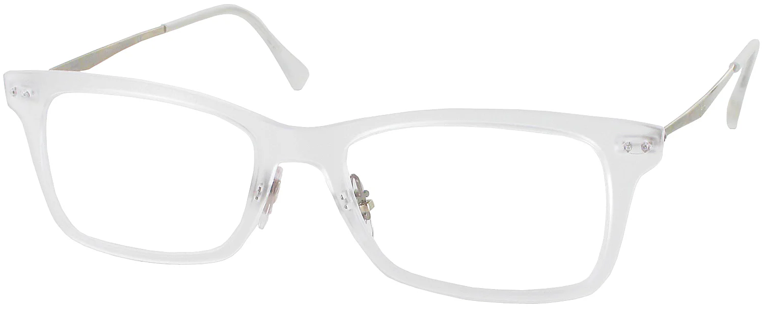 Ray-Ban 7039 Progressive No Line Bifocal - Image 9