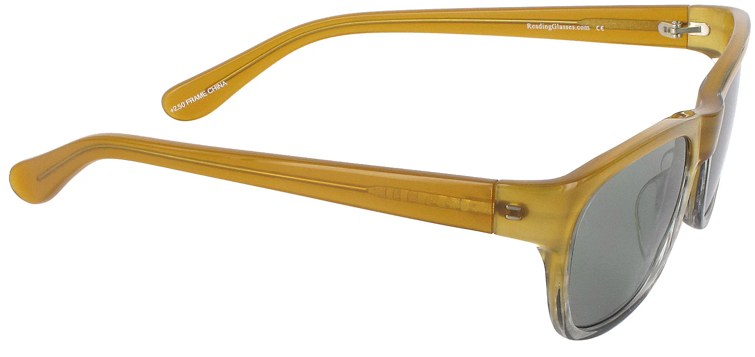 Rhodes Progressive No Line Reading Sunglasses - Image 5