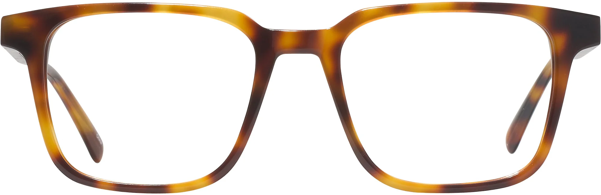 Seattle Eyeworks 1005 Computer Style Progressive - Image 26
