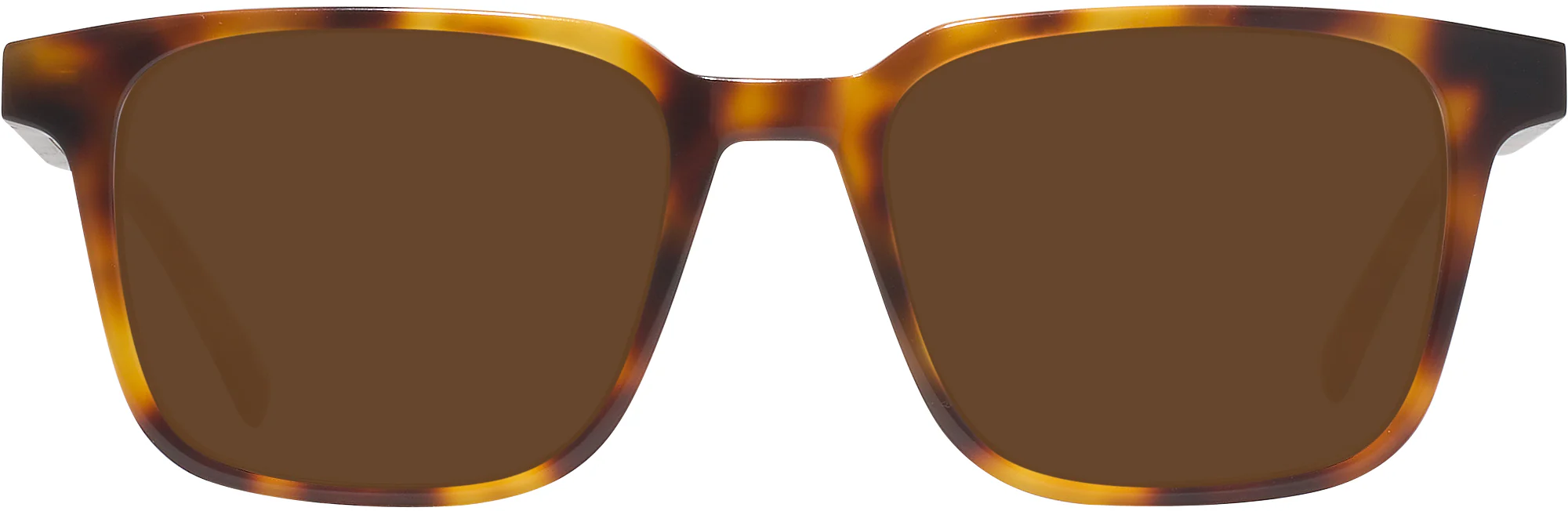 Seattle Eyeworks 1005 Progressive Reading Sunglasses - Image 6