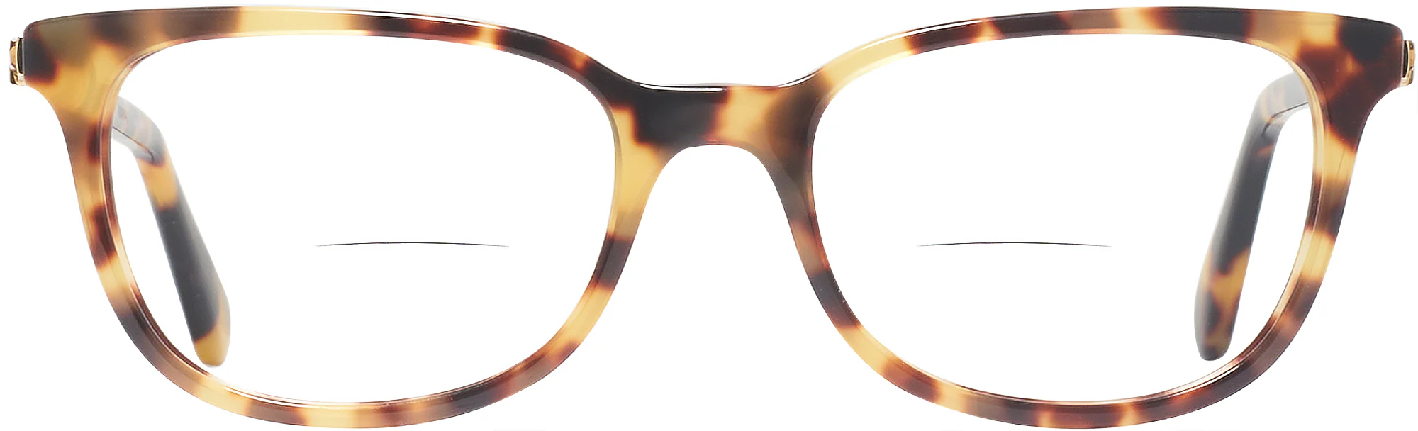 Swarovski 2003 Bifocal - Image 16