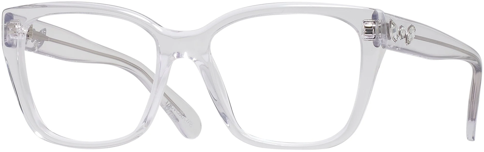 Swarovski 2008 Single Vision Full Frame - Image 25