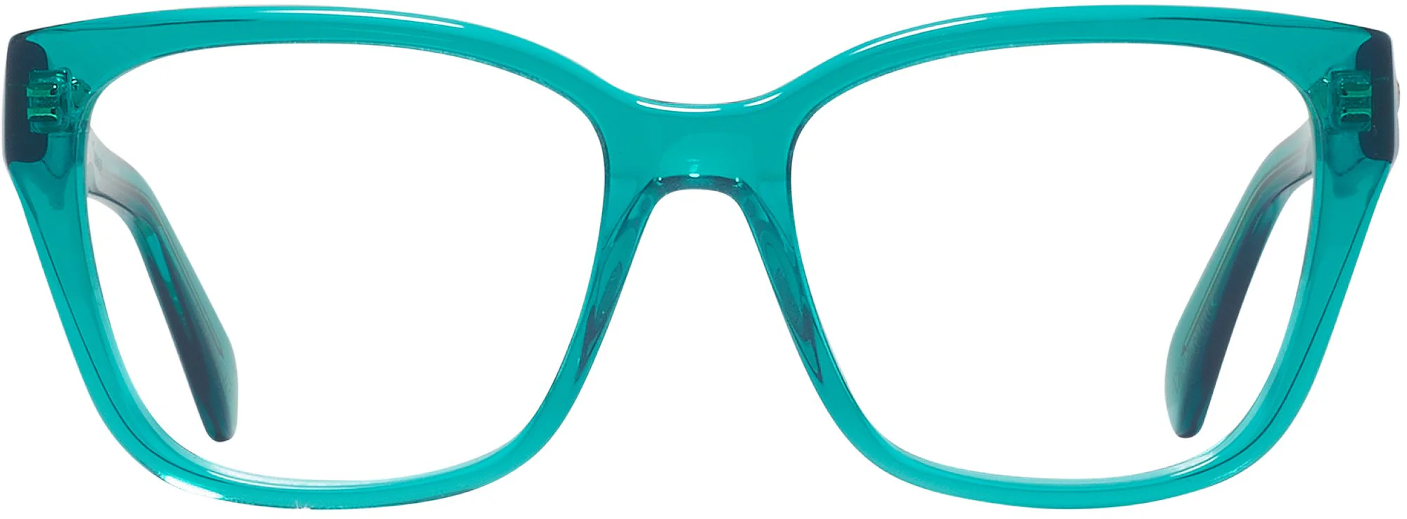 Swarovski 2008 Single Vision Full Frame - Image 30