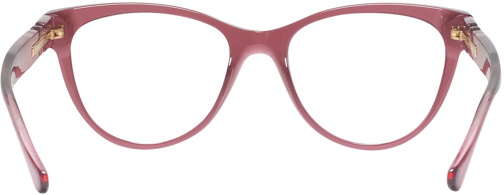 Swarovski 2010 Bifocal - Image 19