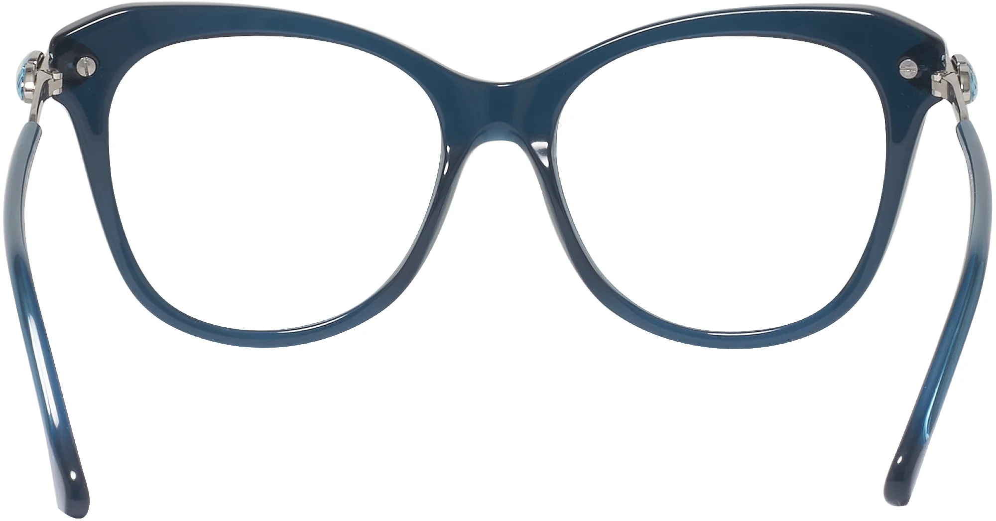 Swarovski 2012 Single Vision Full Frame - Image 19