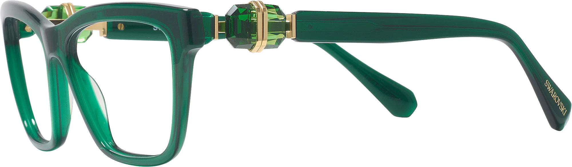 Swarovski 2021 Single Vision Full Frame - Image 17