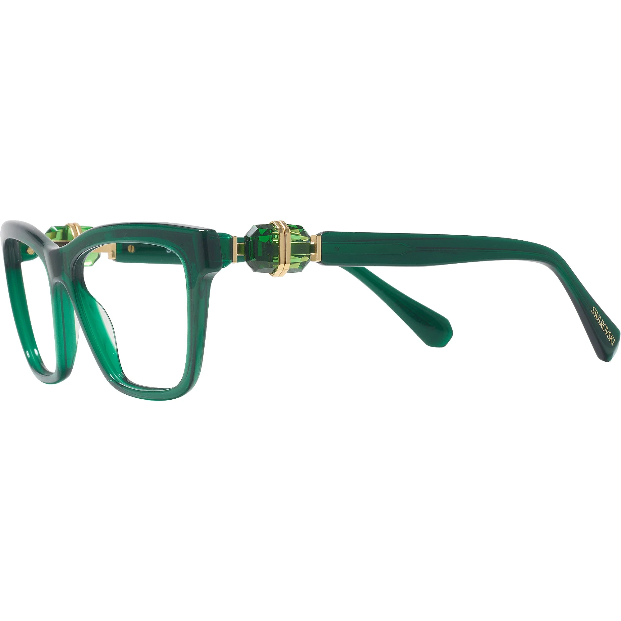 Swarovski 2021 Single Vision Full Frame - Image 25