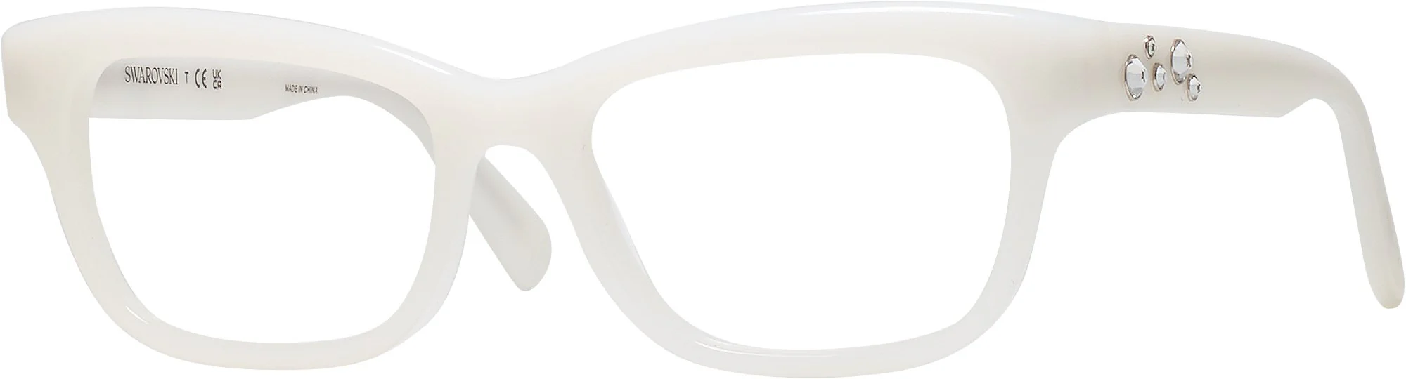 Swarovski 2022 Single Vision Full Frame - Image 16