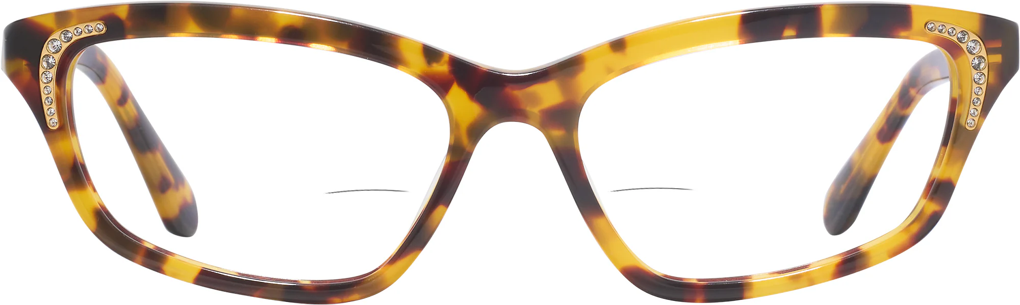 Swarovski 2034 Bifocal - Image 14