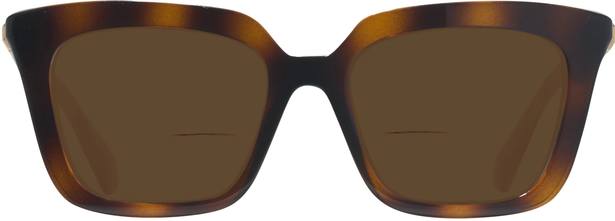 Swarovski 2043 Bifocal Reading Sunglasses - Image 8