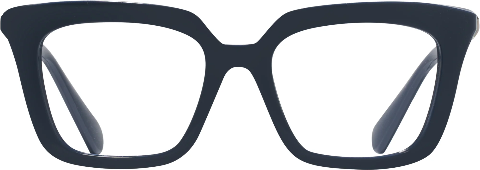 Swarovski 2043 Single Vision Full Frame - Image 5