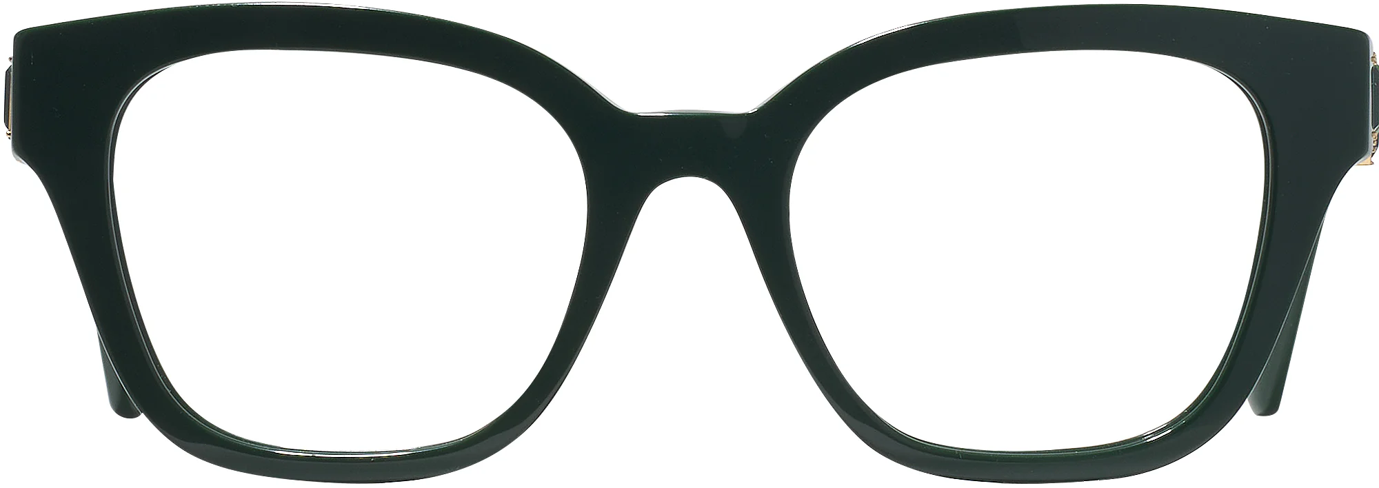Swarovski 2048 Single Vision Full Frame - Image 2