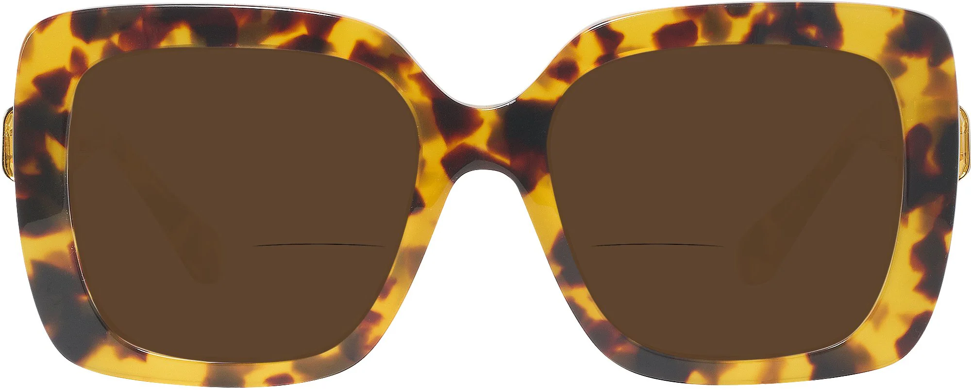 Swarovski 6001 Bifocal Reading Sunglasses - Image 19