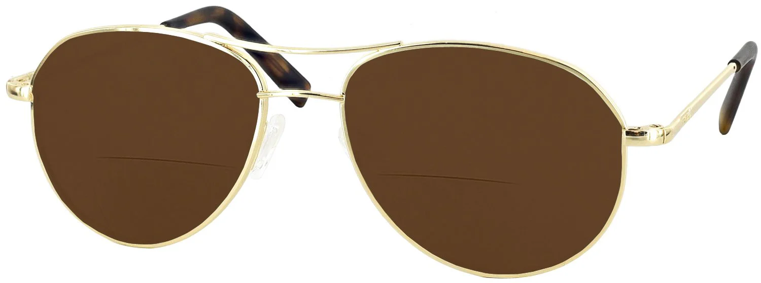 Thaden Gold Bifocal Reading Sunglasses