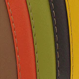 The Everything Striped Case - Leather - Image 33