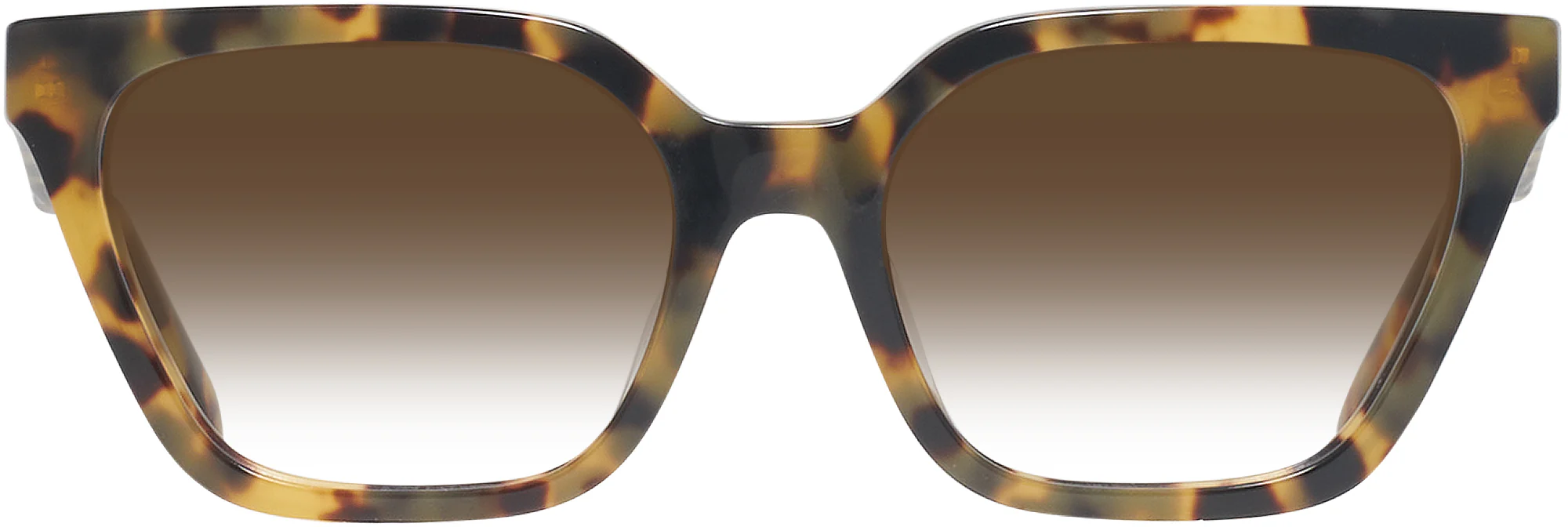 Tory Burch 2133U w/ Gradient Progressive Reading Sunglasses - Image 21