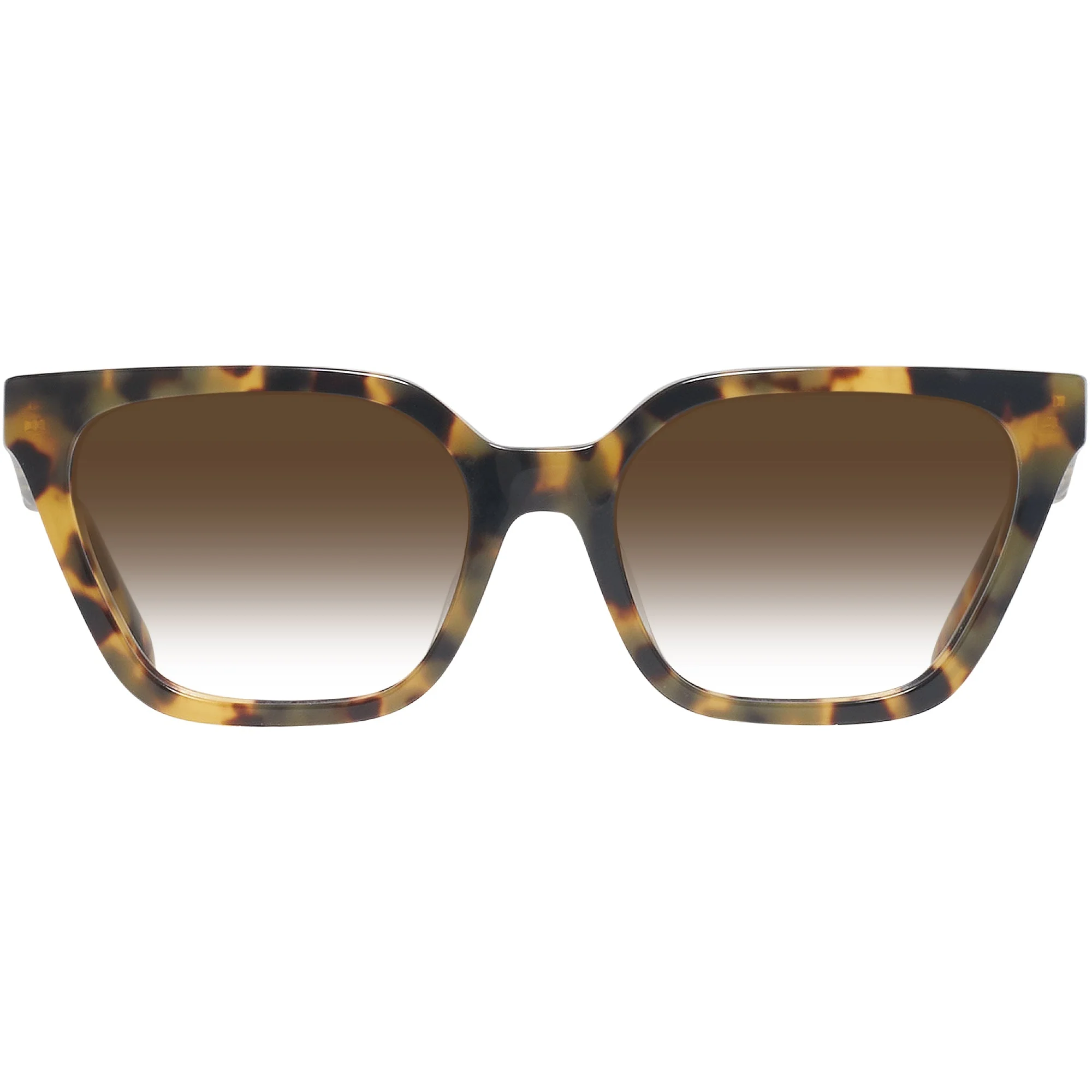 Tory Burch 2133U w/ Gradient Progressive Reading Sunglasses - Image 33