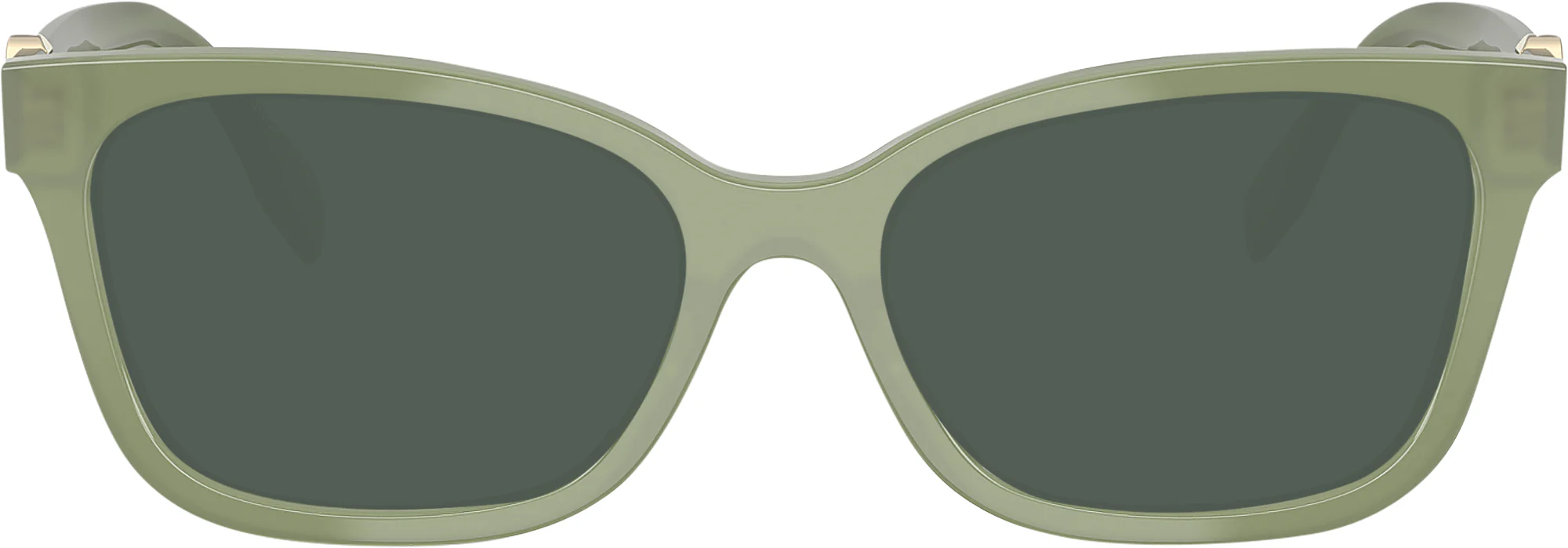 Tory Burch 2159U Progressive Reading Sunglasses - Image 5