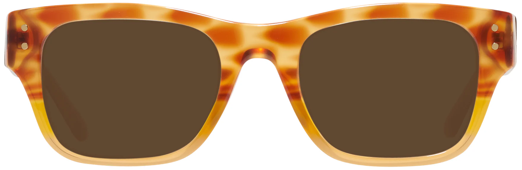 Tory Burch 7144U Progressive Reading Sunglasses - Image 7