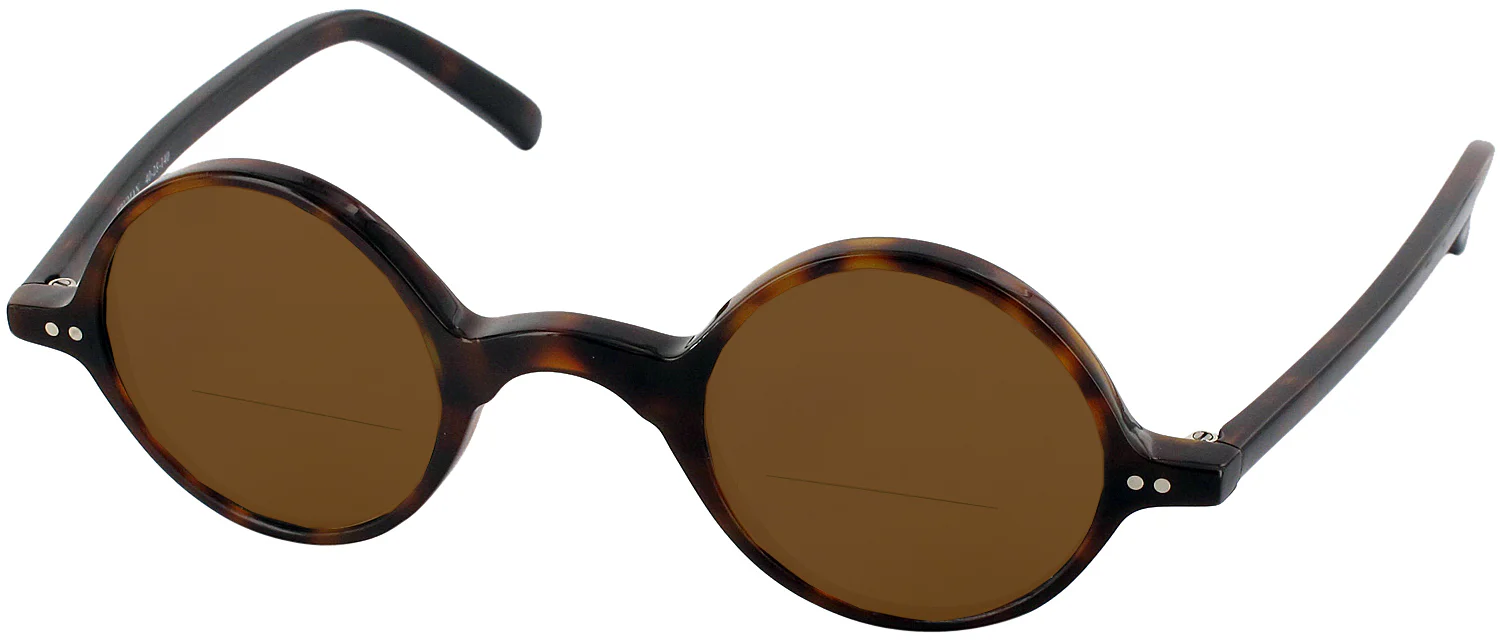 Truman Bifocal Reading Sunglasses - Image 29